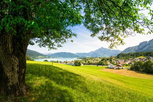 Oberösterreich