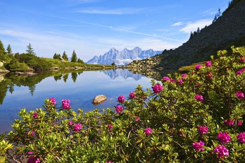 Steiermark